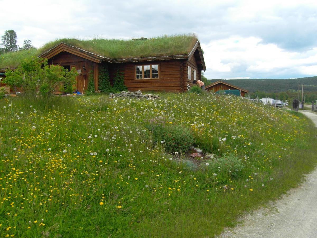 Lokken Fjellgard Villa Folldal Exterior photo